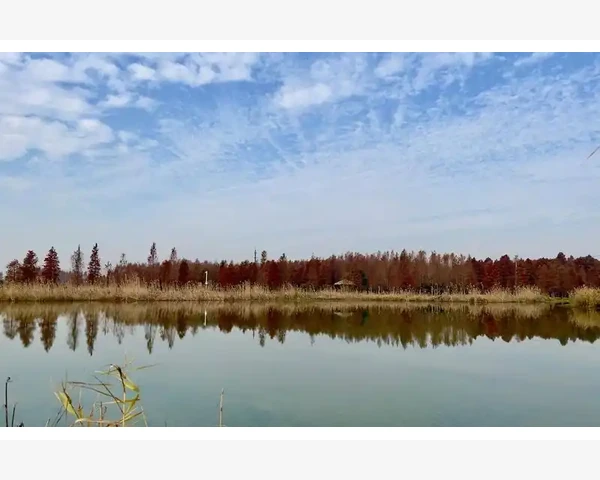 冬季去湿气，让你轻松脱离湿寒困扰！